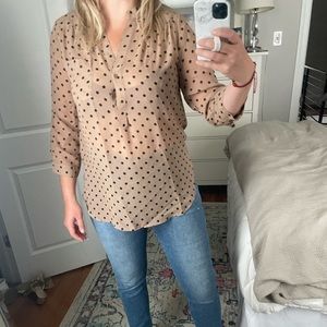 Pleione popover in tan and black polka dot